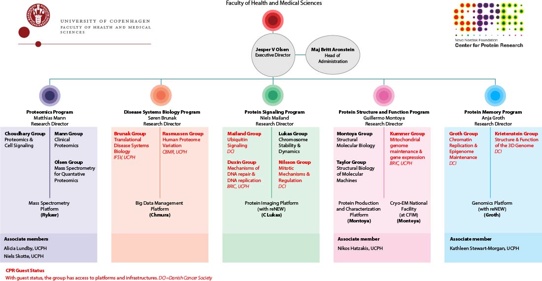 CPR organogram CPR organogram